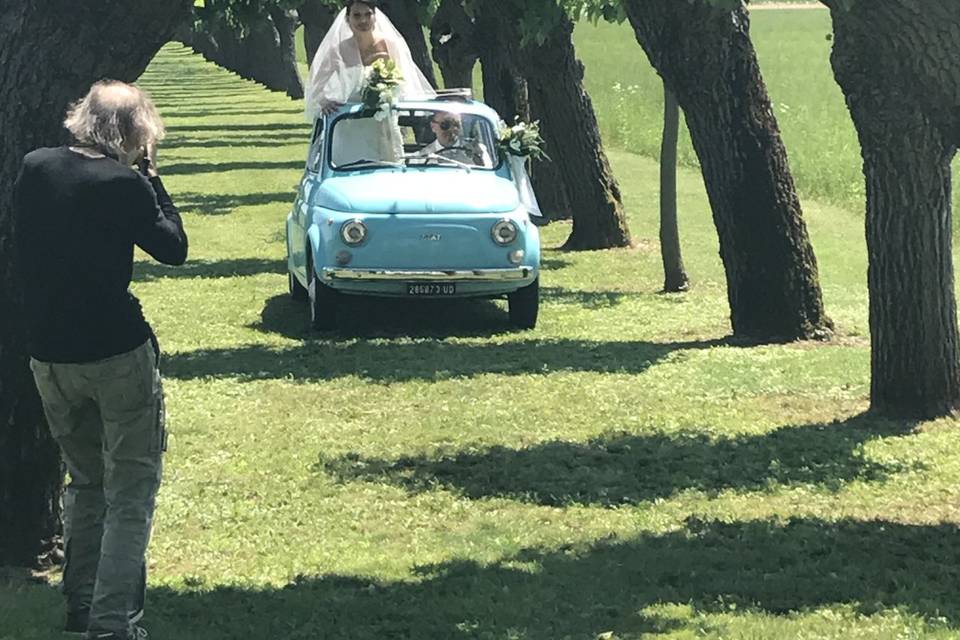 Ingresso dal viale di gelsi