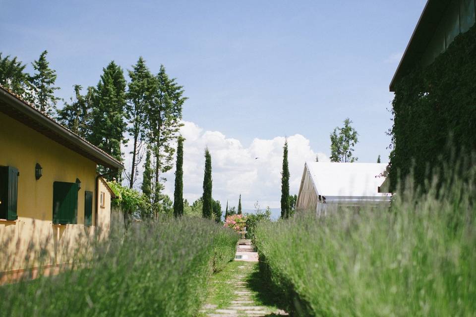 Viale degli sposi