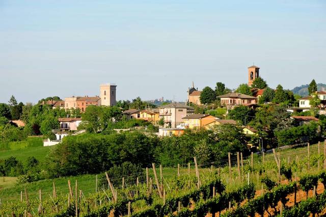 Vigneti verso il borgo