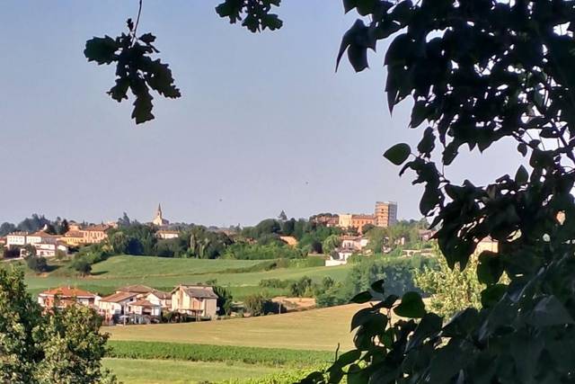 I nostri vigneti