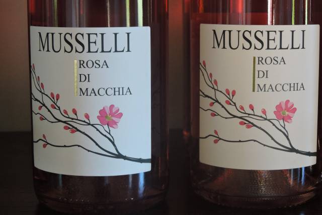 Rosa di Macchia