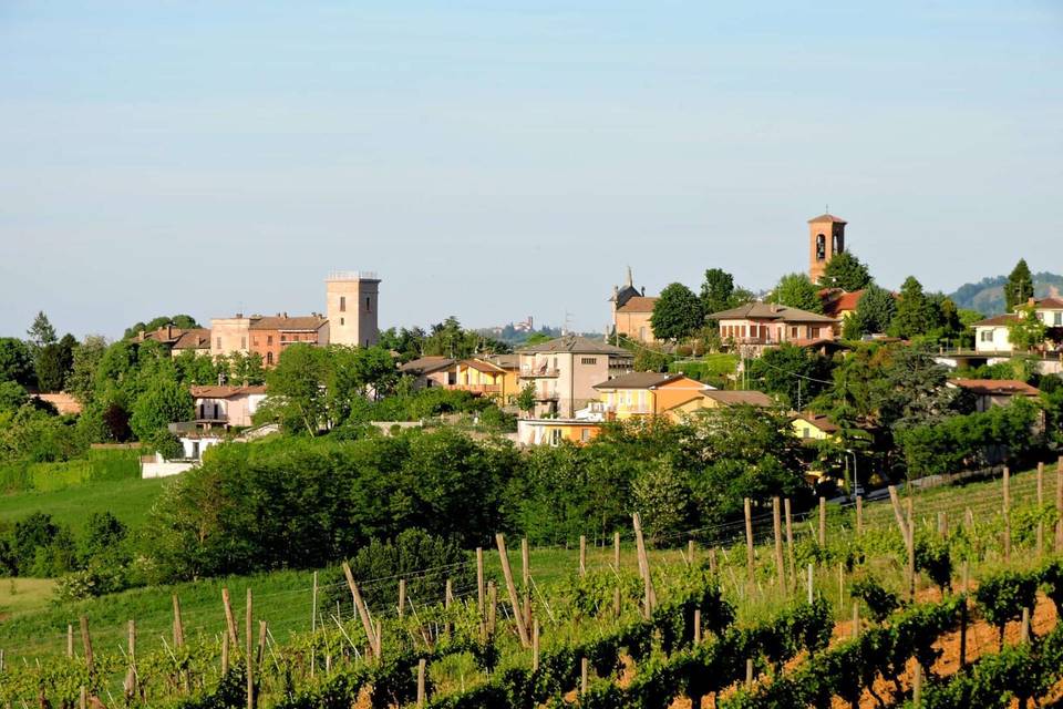 Vigneti verso il borgo