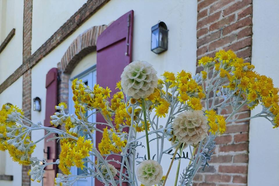 Cortile