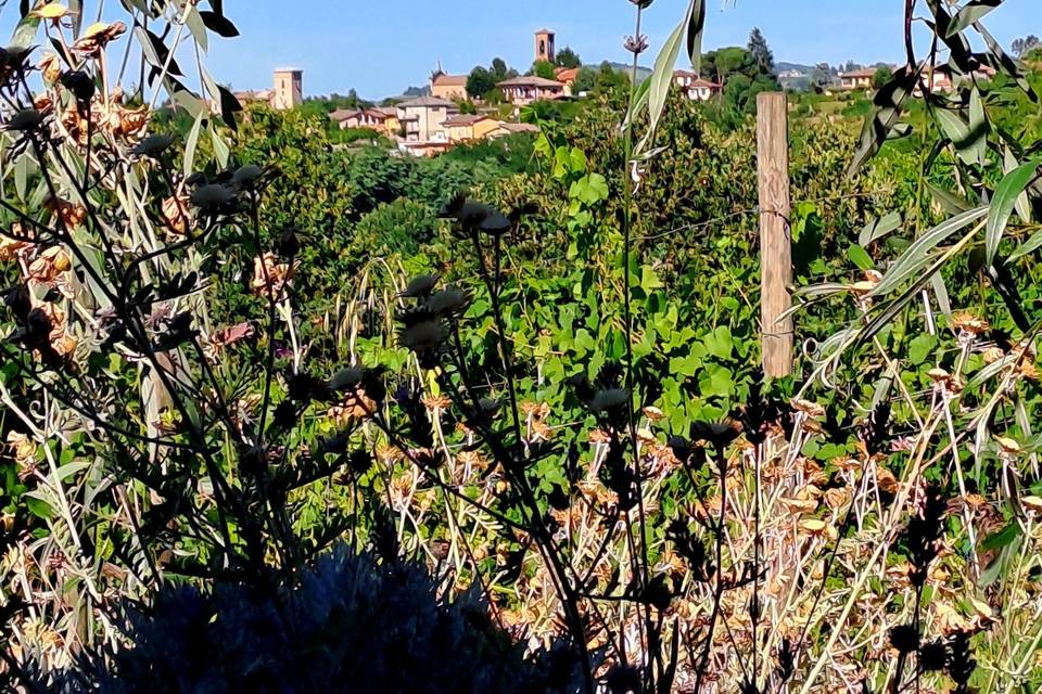 Montebello