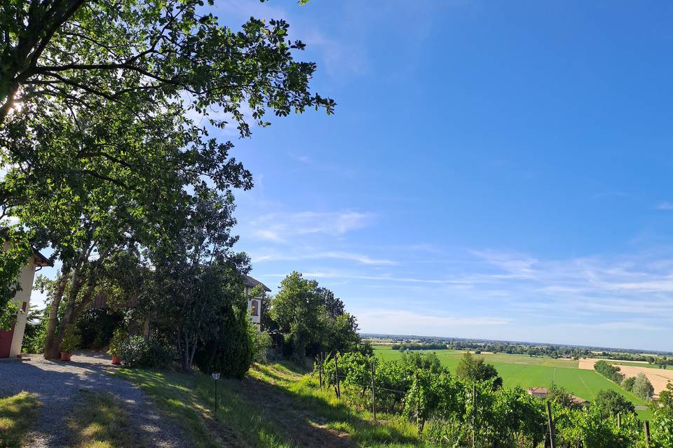 Veduta