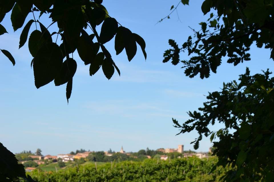 Vigneti