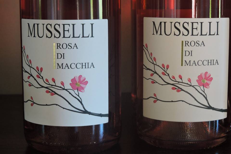 Rosa di Macchia