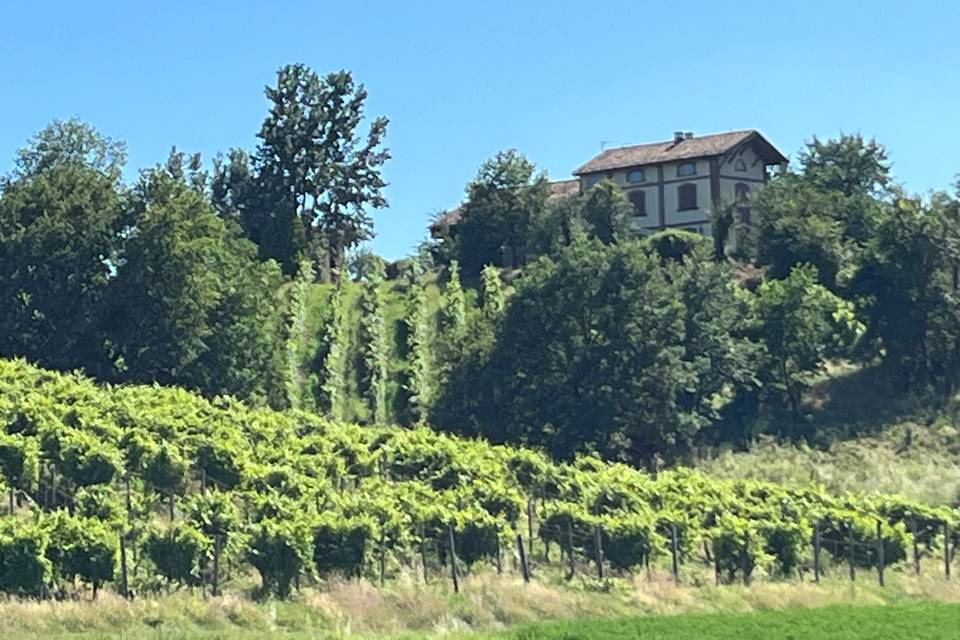 Dalla pianura