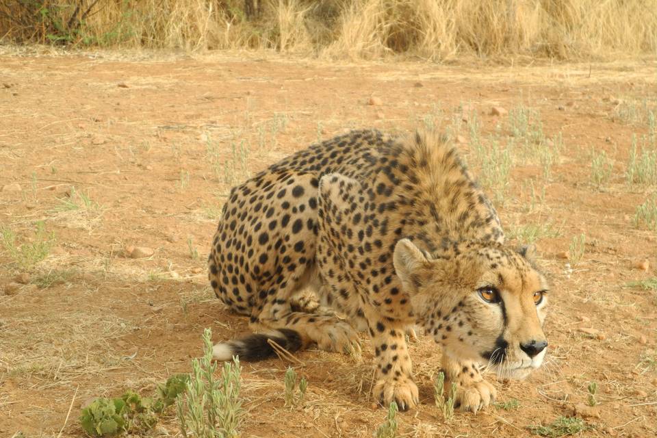 Namibia