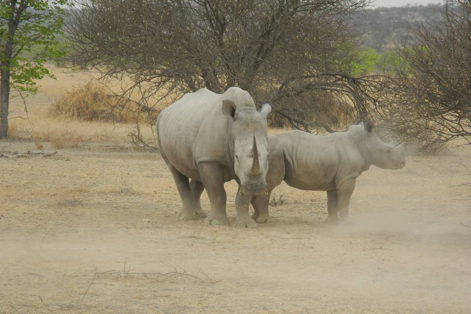 Namibia