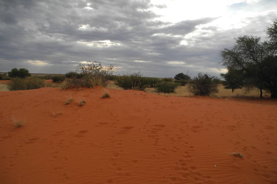 Namibia