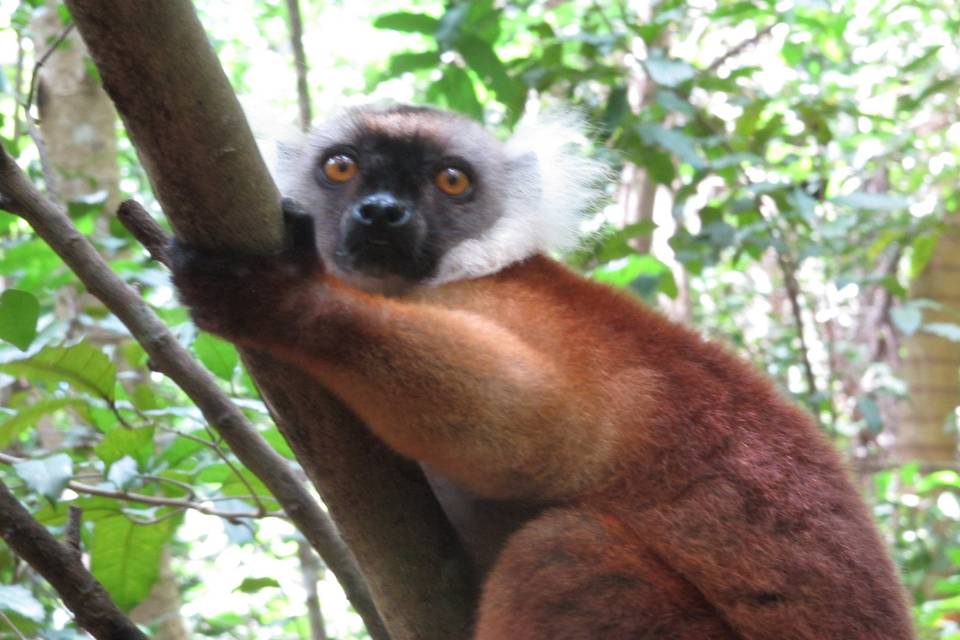 Nosy Be - Madagascar