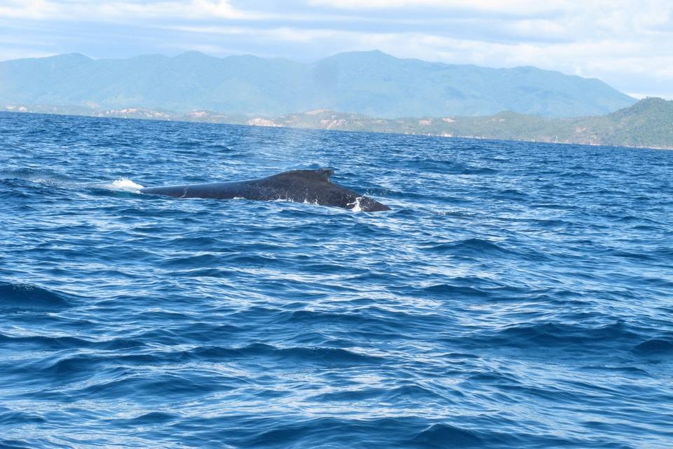 Nosy Be - Madagascar