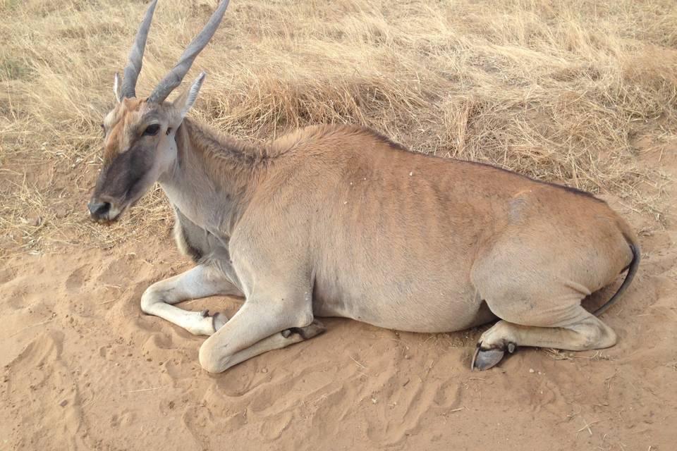 Namibia