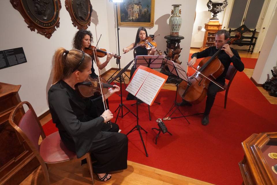 Quartetto d'archi