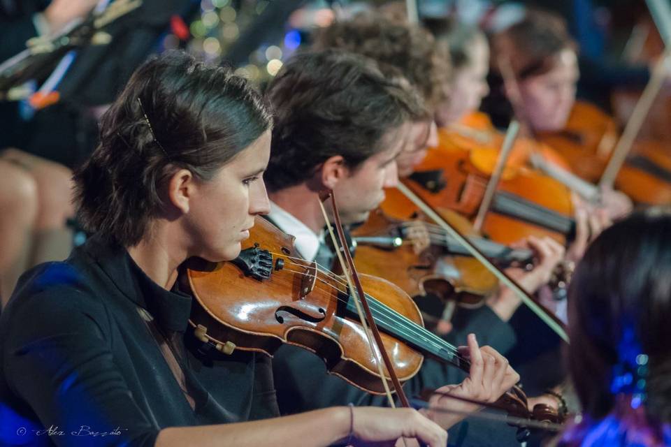 Archi dell'orchestra