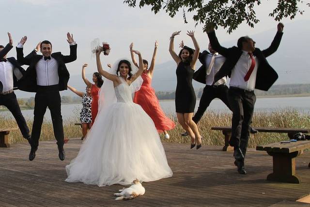 Laura - Flash Mob Weddings