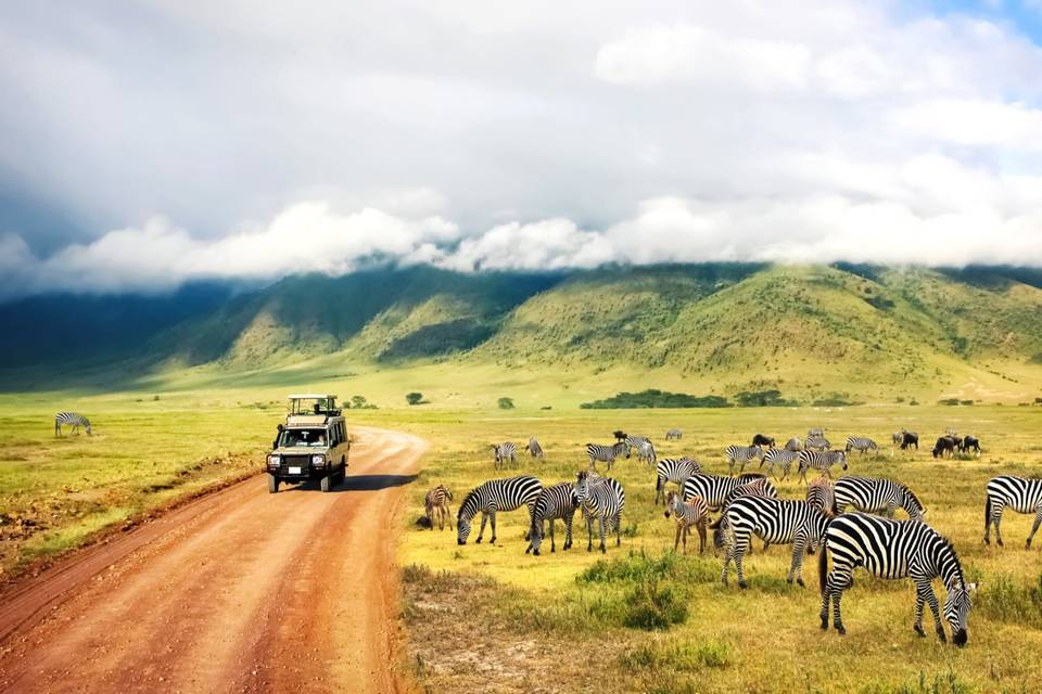 Si Travel