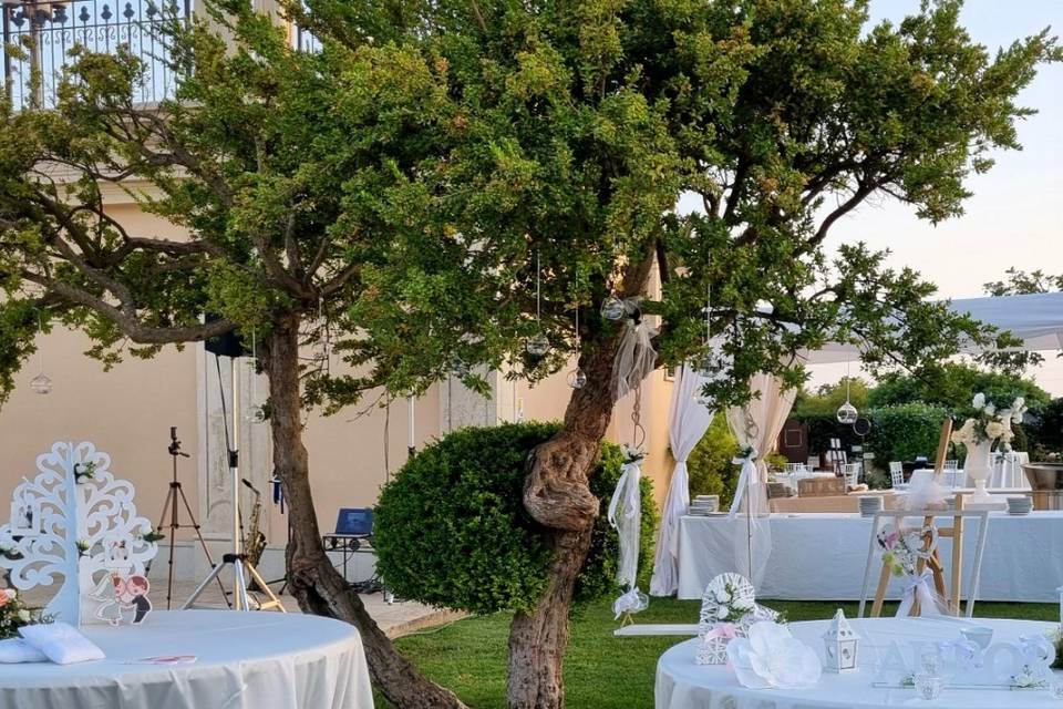 Piante e Fiori Di Fede Loredana