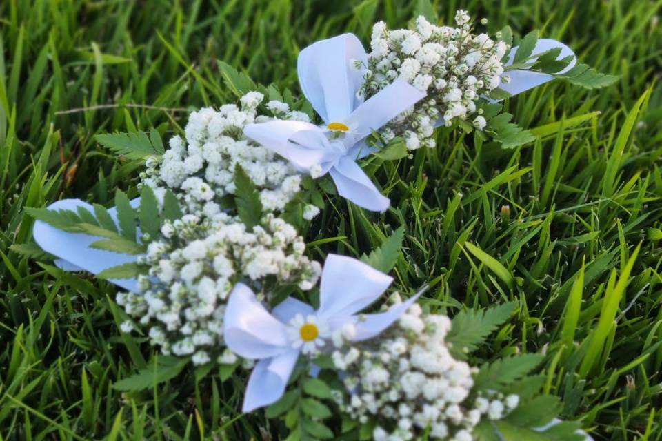 Piante e Fiori Di Fede Loredana