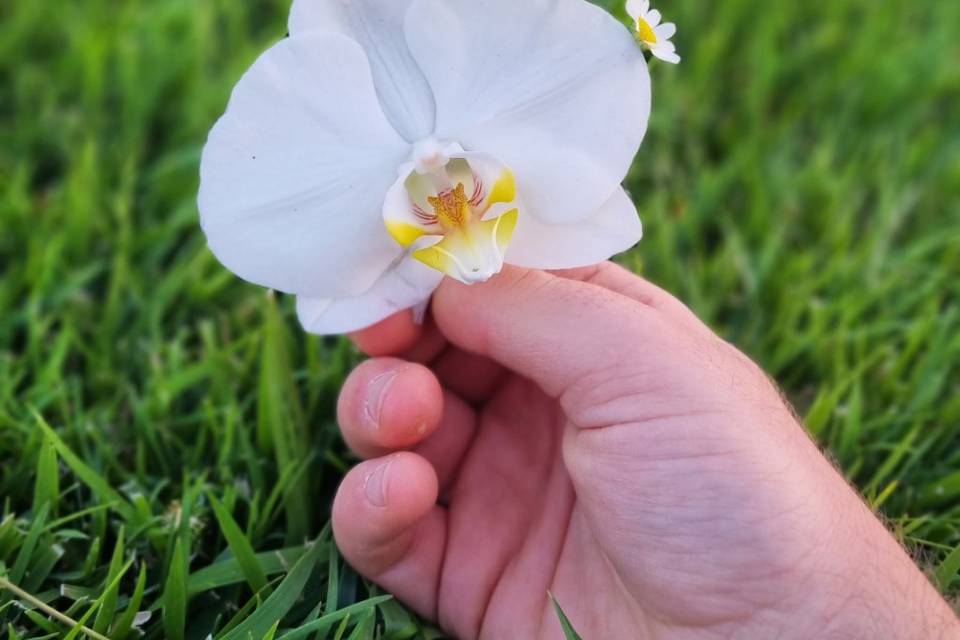 Piante e Fiori Di Fede Loredana