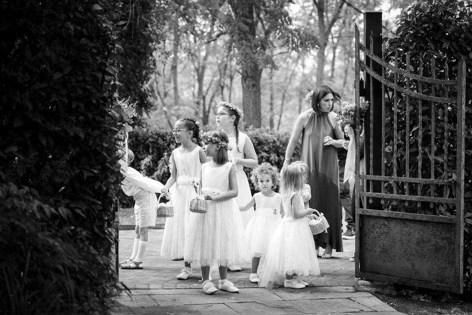 Wedding