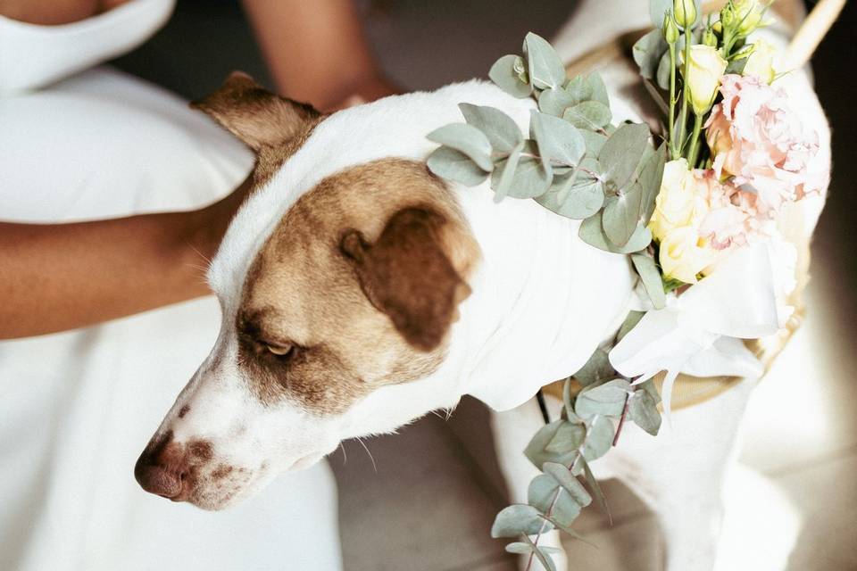 Wedding Napoli