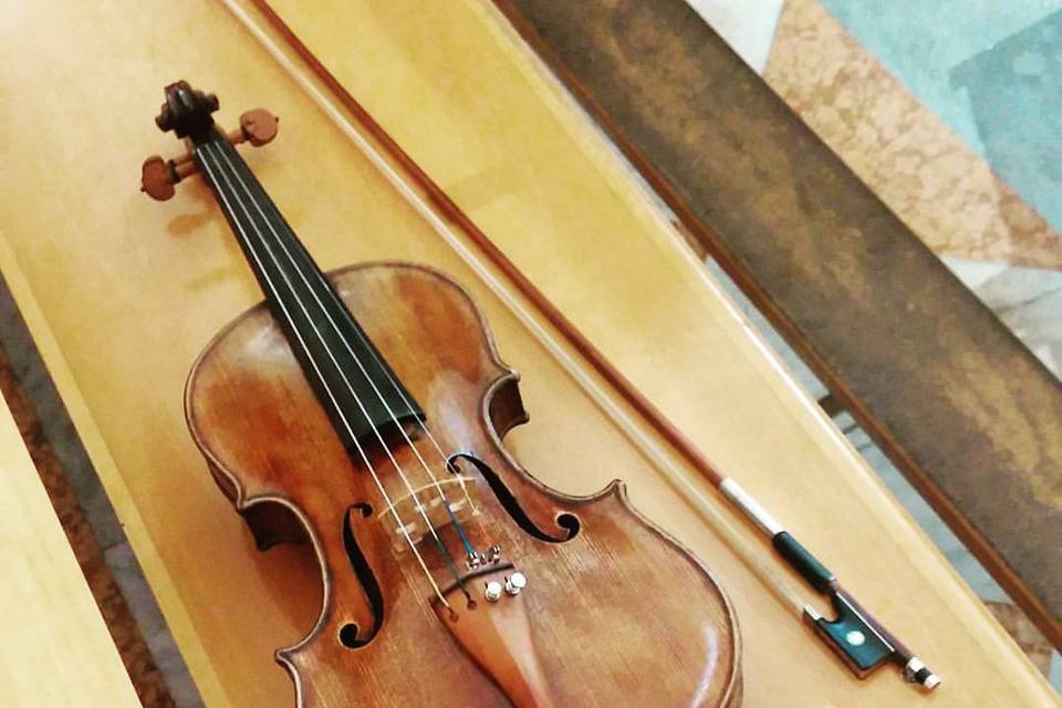 Dettaglio violino