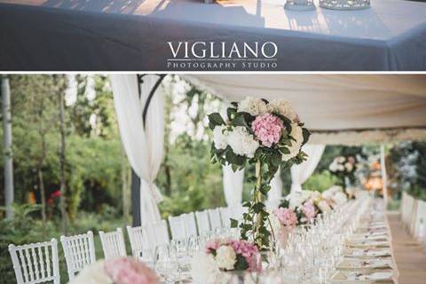 Vigliano Photography Studio