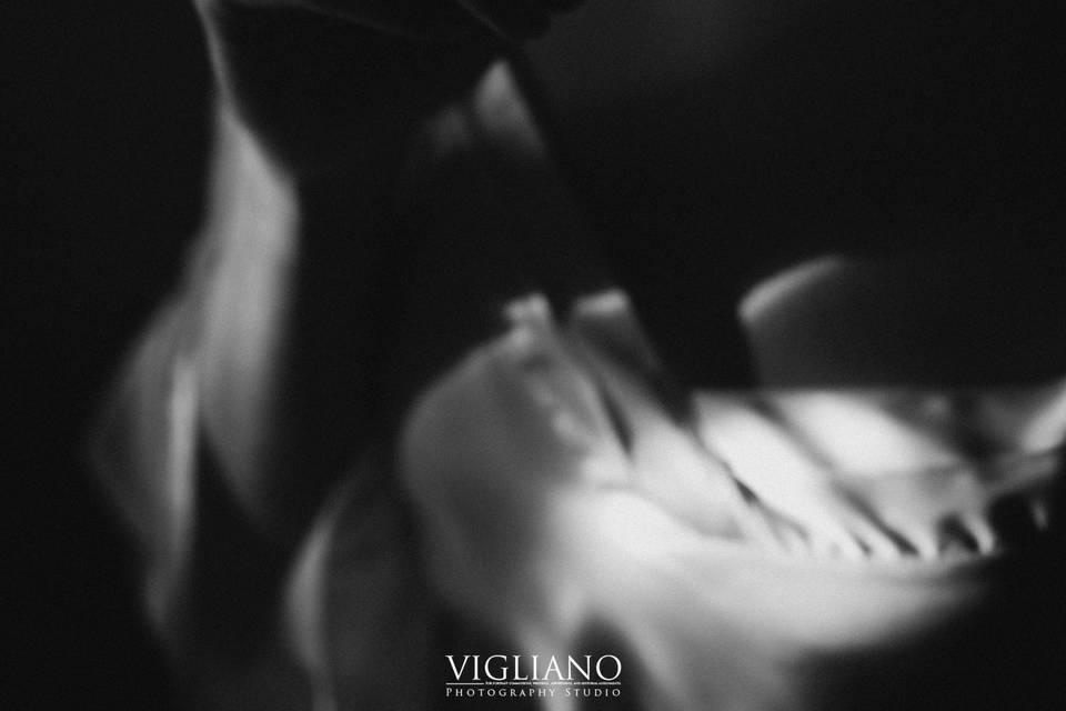 Vigliano Photography studio