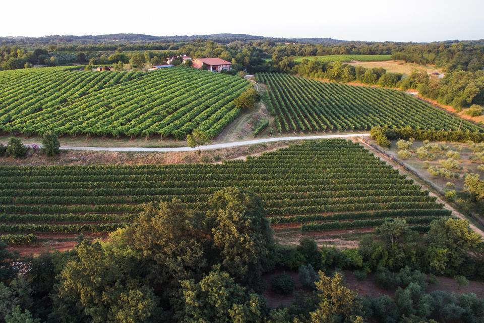 Le colline di Cà Rovere