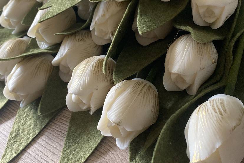 Tulipes