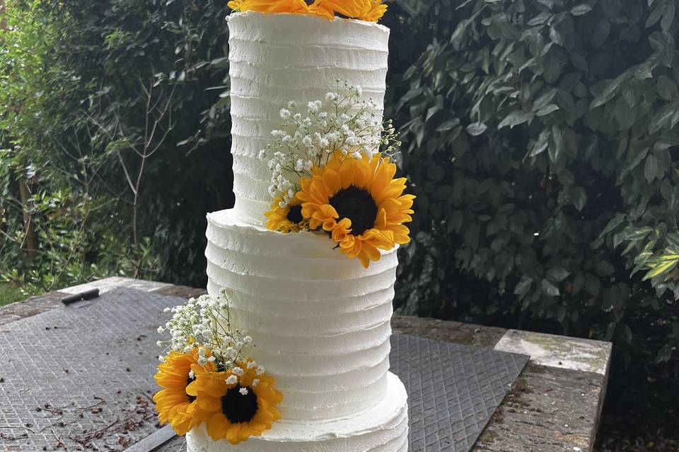 Rigata con girasoli