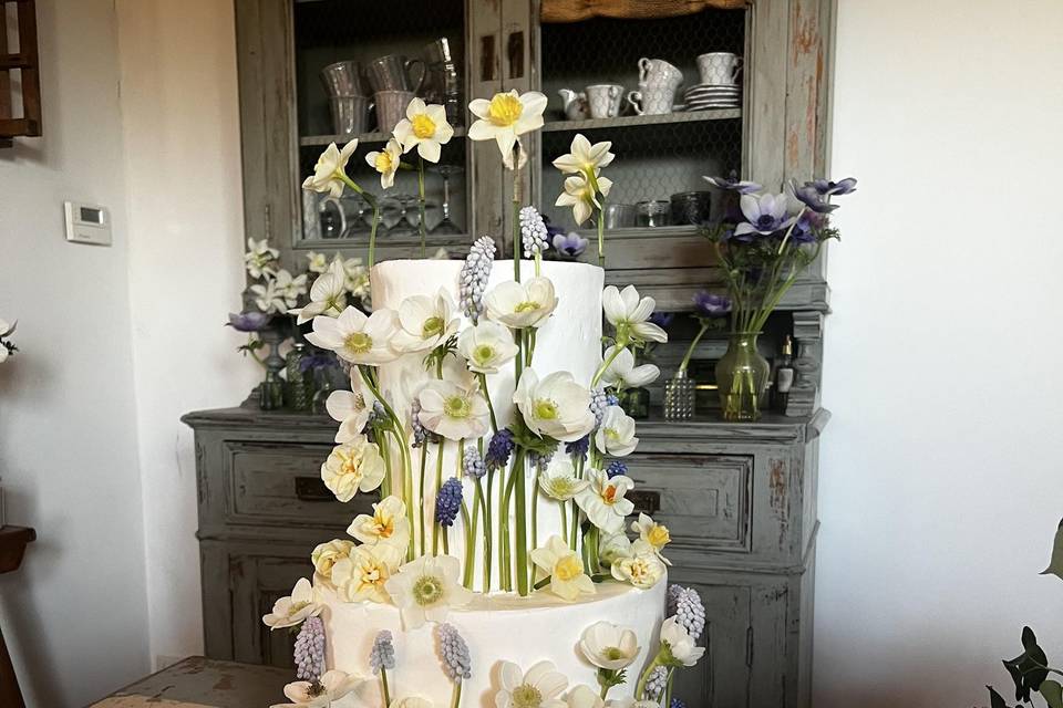 Fiori recisi veri