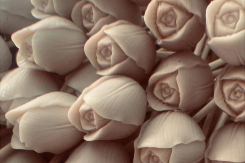 Tulipani in cera di soia