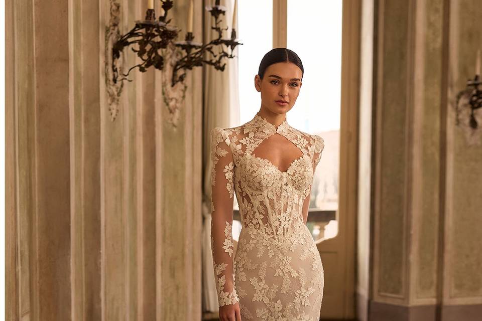 New collection 2027