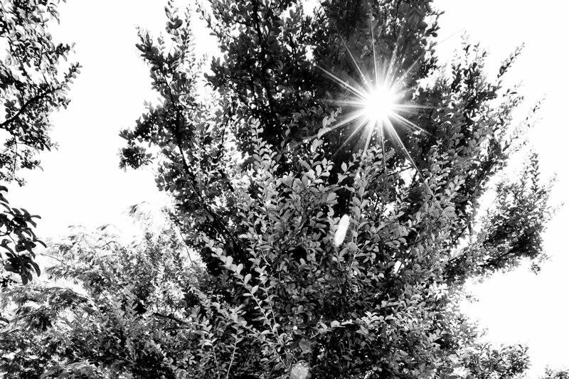 WeddingsGoneFashion