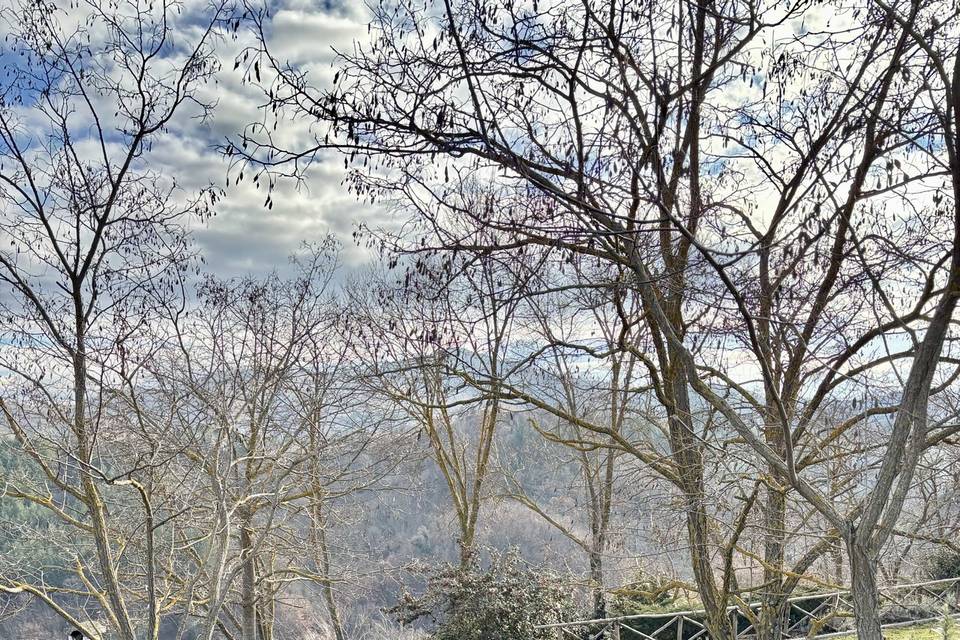 Ingresso su la collina