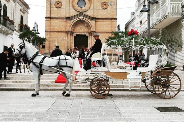 Wedding christmas
