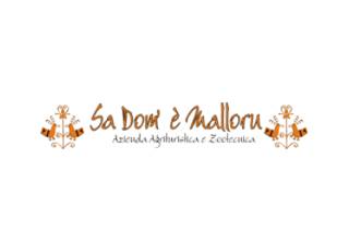 Sa Dom’e Malloru Pool & Wellness