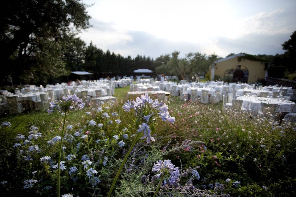 I giardini del Castello