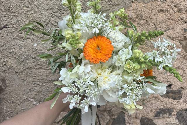 Convento dei cappuccini weddin