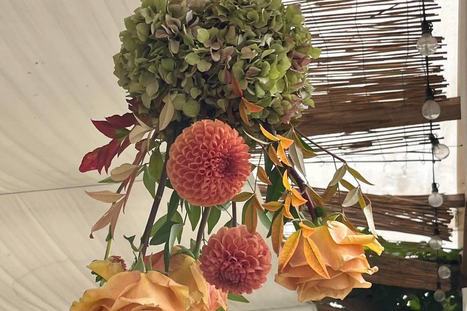 Kokedama