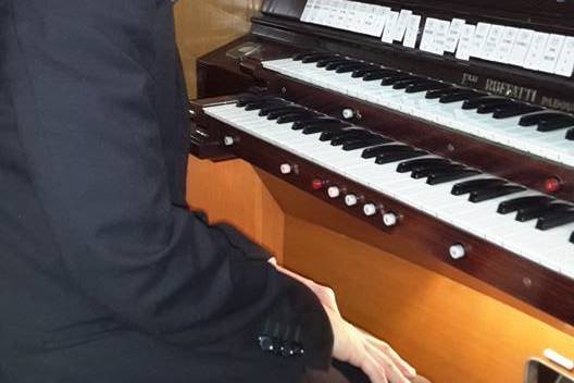 Organista