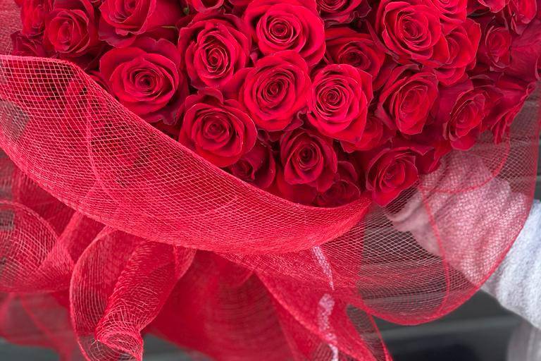 Rose rosse