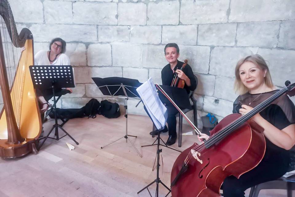 Violino, Violoncello e Arpa