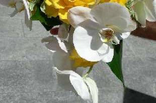 Bouquet con fiori gialli