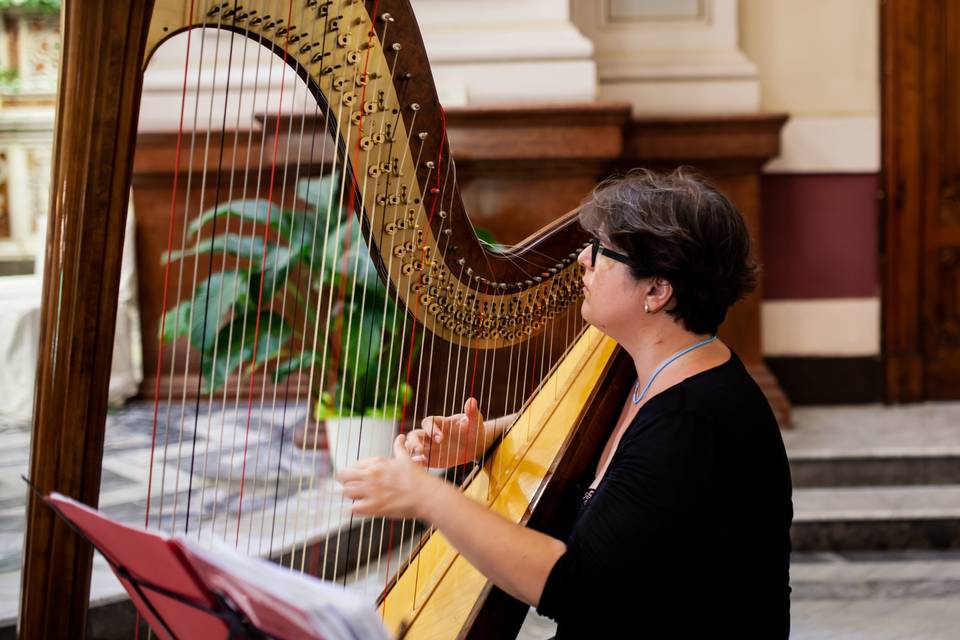 Arpa, Violino e Soprano