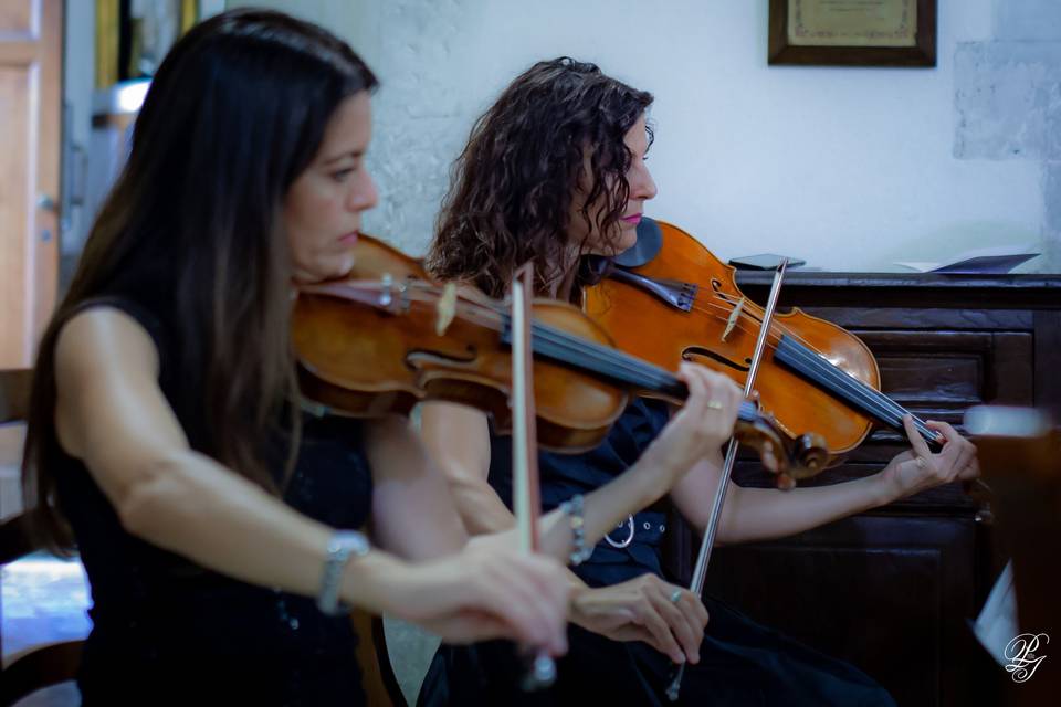 Violino e viola