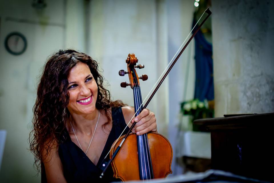 Viola